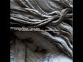 Venetian Snares- The Hopeless Pursuit of Remission Venetian Snares- The Hopeless Pursuit of Remission
