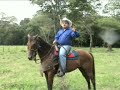 El LLanero Darwin León