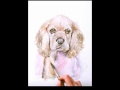 rt @Sooztheartist Everyone check out this painting by @unfurgettables for @Oprah Winfrey http://bit.ly/1qGhv quite amazing wouldn't you say?