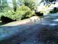 germin ac le chien lol