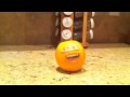 Annoying Orange Pineapple Parody