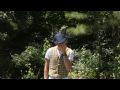 videos de Father's Day Fairy Tale