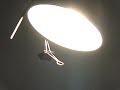 Moth by PES