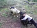 Thumbnail #2
