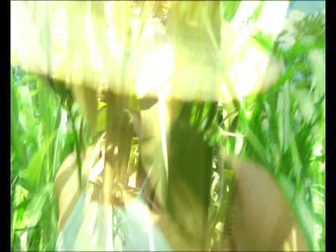 Cosmetic - Sangue + Sole