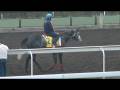 videos de S02 - MARCHAND D'OR 2