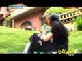 perunnal songs , prepired by cnoushad vatakara ADNOC UAE