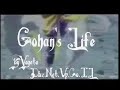 dragonball z amv   gohan