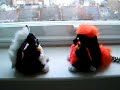 Furby Conversation