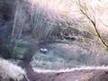Atv-Quad-13-01-08-So
