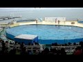 マリンワールド海の中道