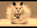 wwwlafeeforumdelafeees-tut-weh-live-koblenz.html