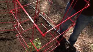 Quick Start Gardening Guide: Planting Tomatoes