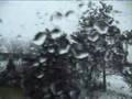 Timelapse of snow falling 1 February 2008