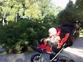 Sebastian 20080830a