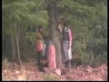 la foret de bladna beni tayman en detruction