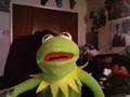 Kermit The Frog's Reaction to 2 girls 1 cup Pt.1