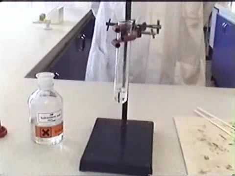 how to react magnesium with hydrochloric acid