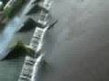 videos de The Bande