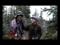 Moose is shot with a bow at about six feet and charges imediatly!