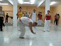 Tecnica3 mestrePuma
