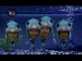 yean fish fight