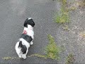夏色のおもいで