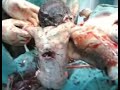 3GP Video Format