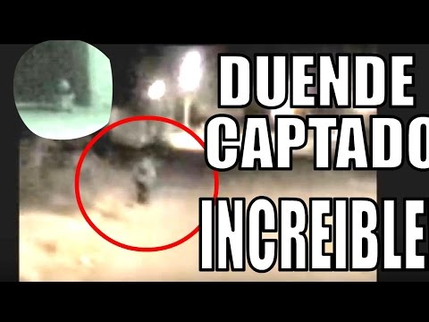 Aparición - bueno pues...tratabamos de buscarlo ya hace mucho pero cuando pensabamos que nuestras esperanzas de encontrandolo se acabaron se nos vino esto.