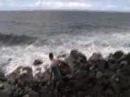 Waipio Coast