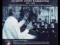 Pergolesi: Stabat Mater - Toelzer Knabenchor