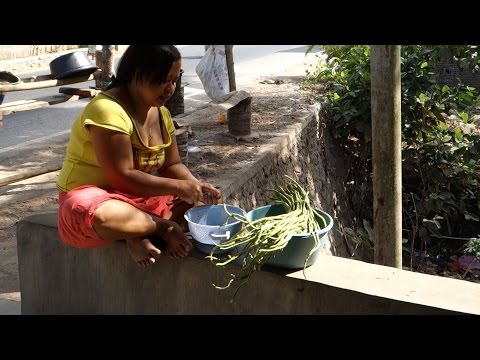 Sambal goreng kacang panjang and mie - Spicy green beans with noodles