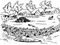 What is The Beaver Solution? Simply put, it is allowing beavers to do what they do naturally; build dams and store water, which slowly releases to increase flows in the late summer. Check out www.landscouncil.org/beaversolution for more information