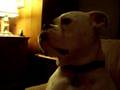 videos de Agador Sparticus