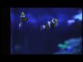 Colione's Clownfish