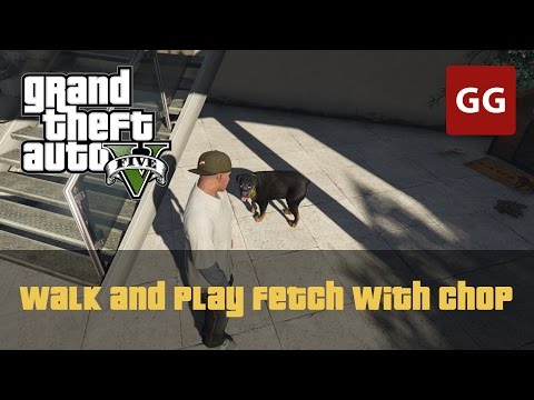 video-linktoworks-Walk and Play Fetch With Chop — GTA 5