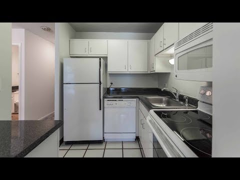 A spacious Gold Coast studio steps from Oak Street beach A spacious Gold Coast studio steps from Oak Street beach