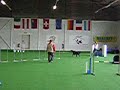 agility jumping 1 bad ragaz agility jumping 1 bad ragaz