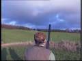 Sporting Scene - Classic Game Shooting Pheasant