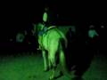 videos de Damian Haro con Tamborazo(Night)