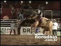 Rodeio Salto Grande 2008 com apoio do Sindicato Rural FAPI Rodeio Salto Grande 2008 com apoio do Sindicato Rural FAPI