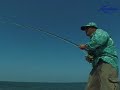 fishing in cuba (Permit)