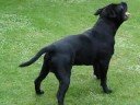 Crackin r'n'b track.Pics:Tye 8 weeks-2 years