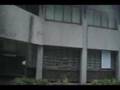 videos de SRSF