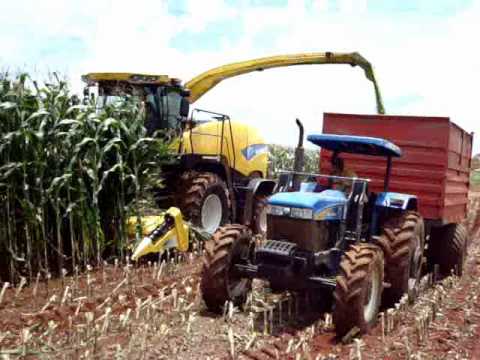 ensiladeira - Ensilagem de milho com ensiladeira Automotriz: velocidedade e padronização de corte da forragem para ensilagem. Garantia de silagem com elevado padrão de qua...