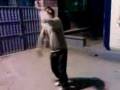 videos de dj adem.3gp