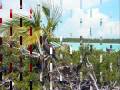 Montage Mataiva