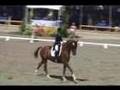 FARINELLI & JENNIFER HOFFMANN, INTERM KUR, '08 USEF FESTIVAL