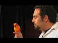 Beatboxer Adam Matta & Kimba Part 3 Beatboxer Adam Matta & Kimba Part 3