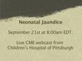 World's Leading Experts on Neonatal Jaundice Discuss Causes